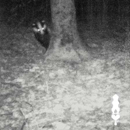 song cover for A Burning Heart (playing)