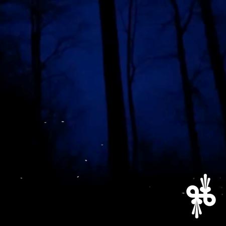 song cover for Keep The Light (playing)